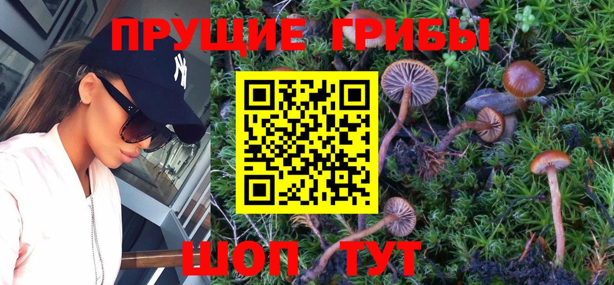 Псилоцибиновые грибы ЛСД Белореченск