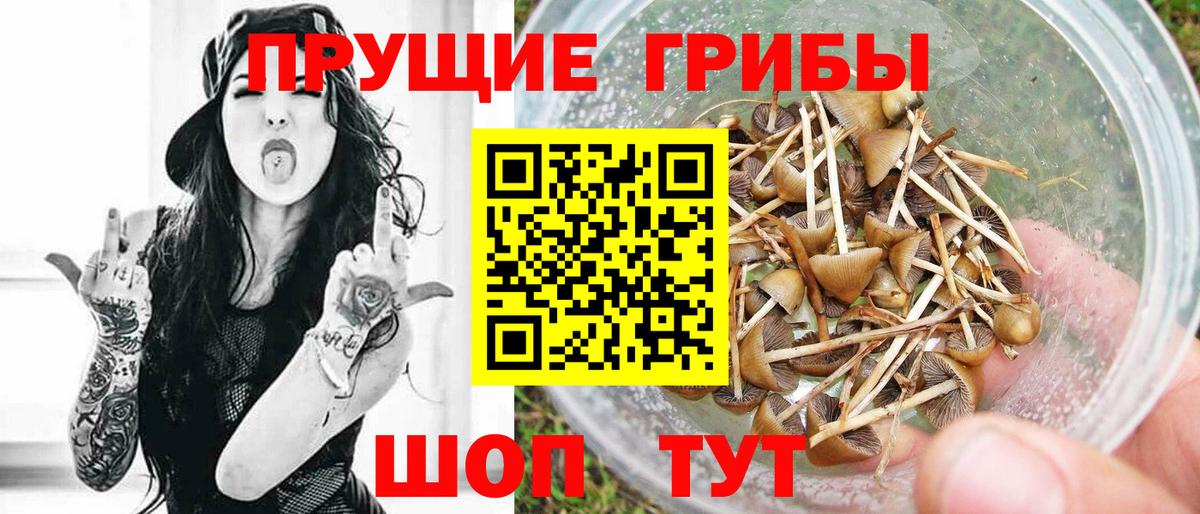 Галлюциногенные грибы Psilocybe  Вход с VPN  сколько стоит  Белореченск 